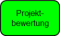 Projektbewertung